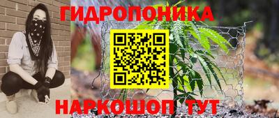 apvp Аша