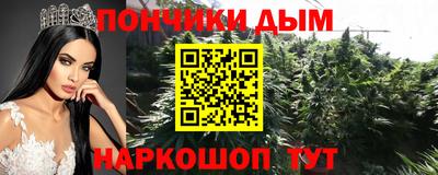 apvp Аша