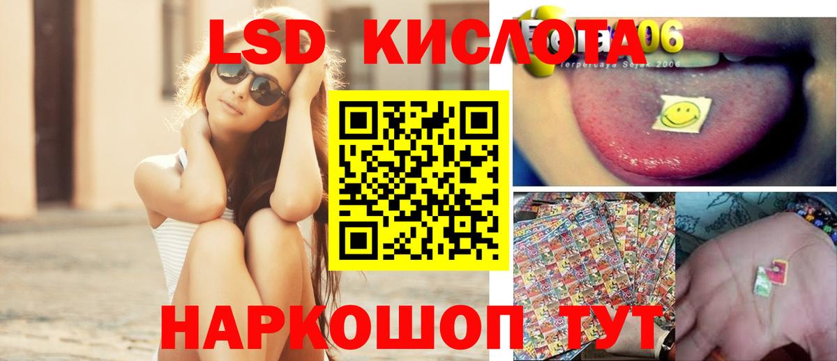 Новозыбков  Лсд 25 экстази  мега как войти  Вход с VPN  ЛСД экстази кислота  ЛСД экстази кислота 