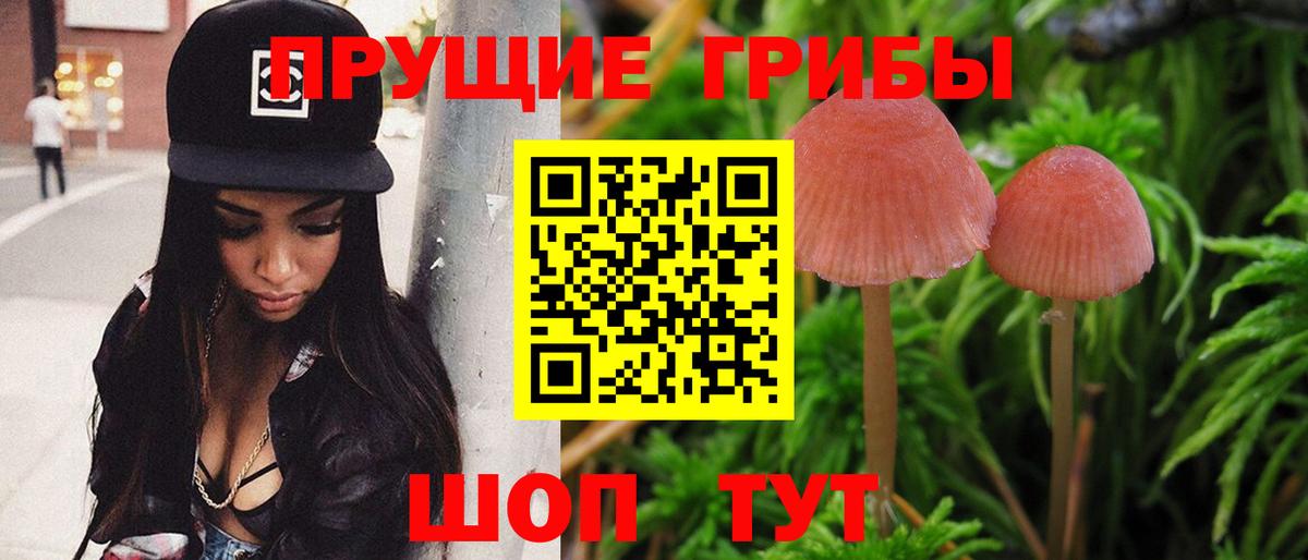 Псилоцибиновые грибы MAGIC MUSHROOMS Новозыбков
