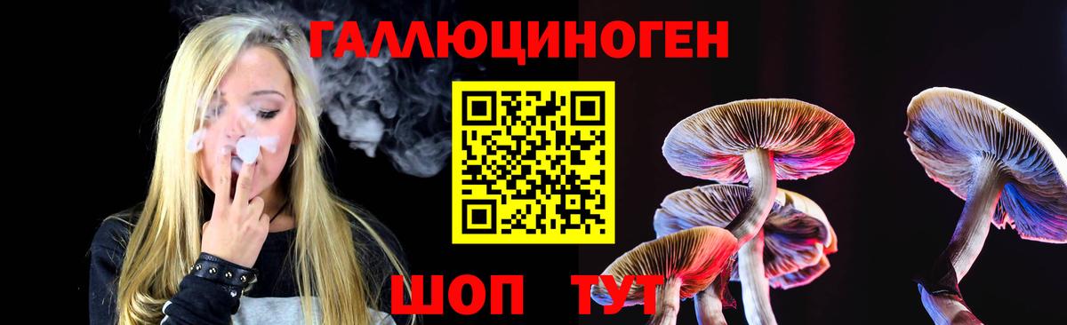 Псилоцибиновые грибы GOLDEN TEACHER  Псилоцибиновые грибы прущие грибы  Вход с VPN  Новозыбков 