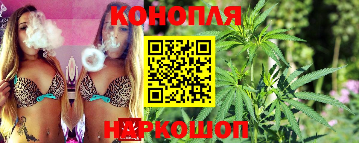 Конопля марихуана Новозыбков
